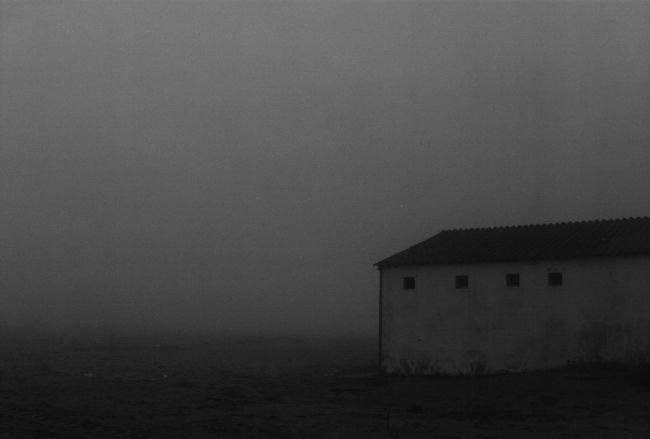nebbia1.jpg (14161 byte)