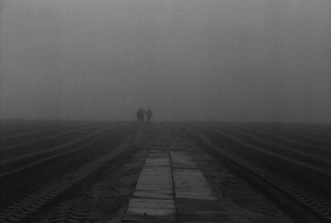 nebbia2.jpg (17586 byte)