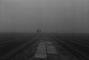 nebbia2p.jpg (1833 byte)