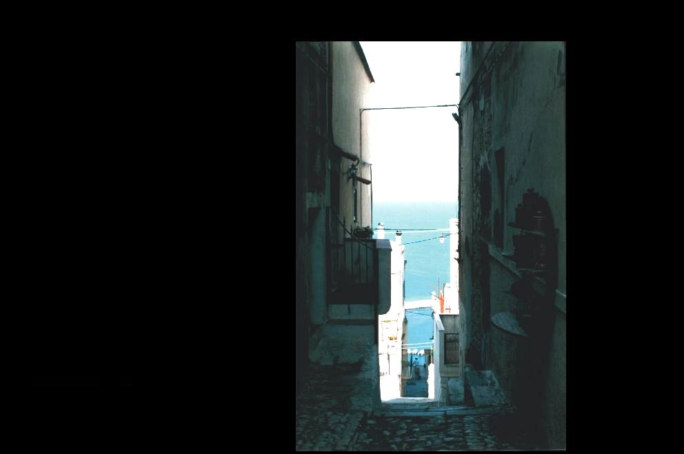 peschici9.jpg (35255 byte)